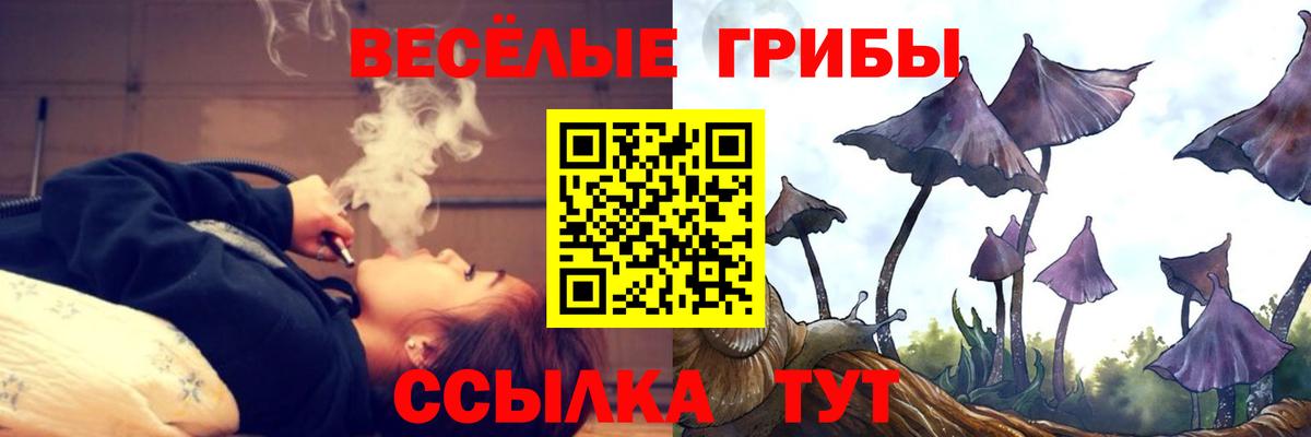 Ульяновск  Галлюциногенные грибы Psilocybe  Вход с VPN 